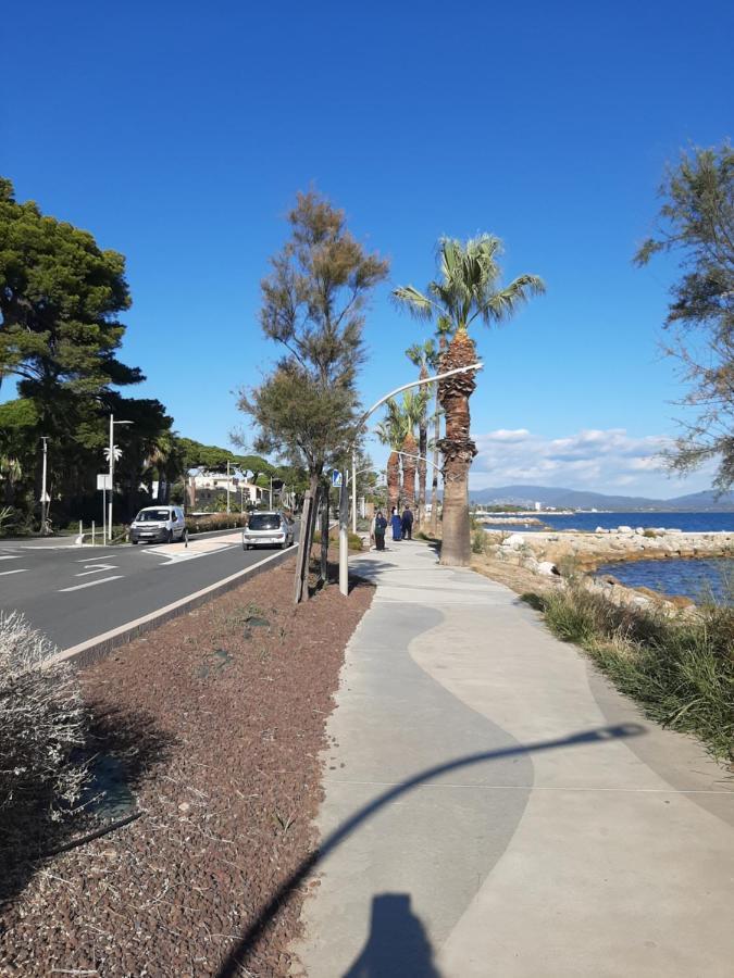 Les Iles D'Or Au Port De Hyeres Grand Studio Climatise Exterior foto